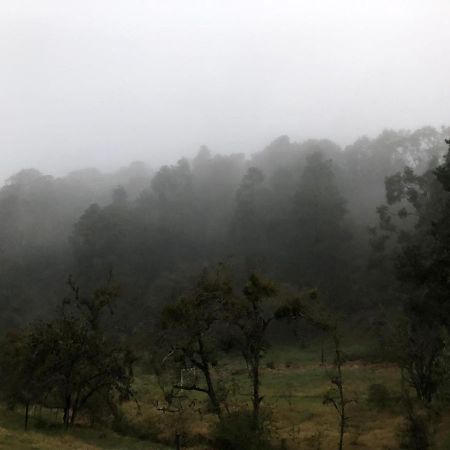 Cabana Romantica En El Bosque! Acaxochitlan Luaran gambar