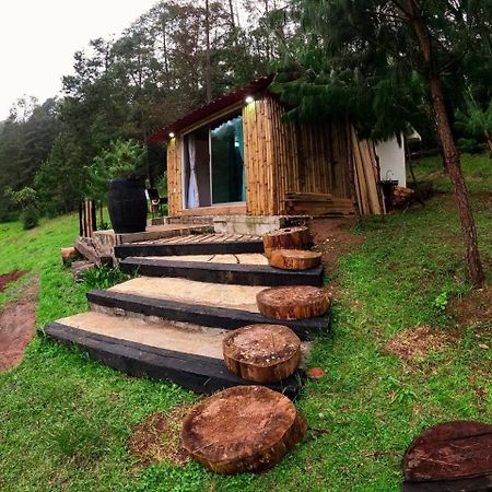 Cabana Romantica En El Bosque! Acaxochitlan Luaran gambar