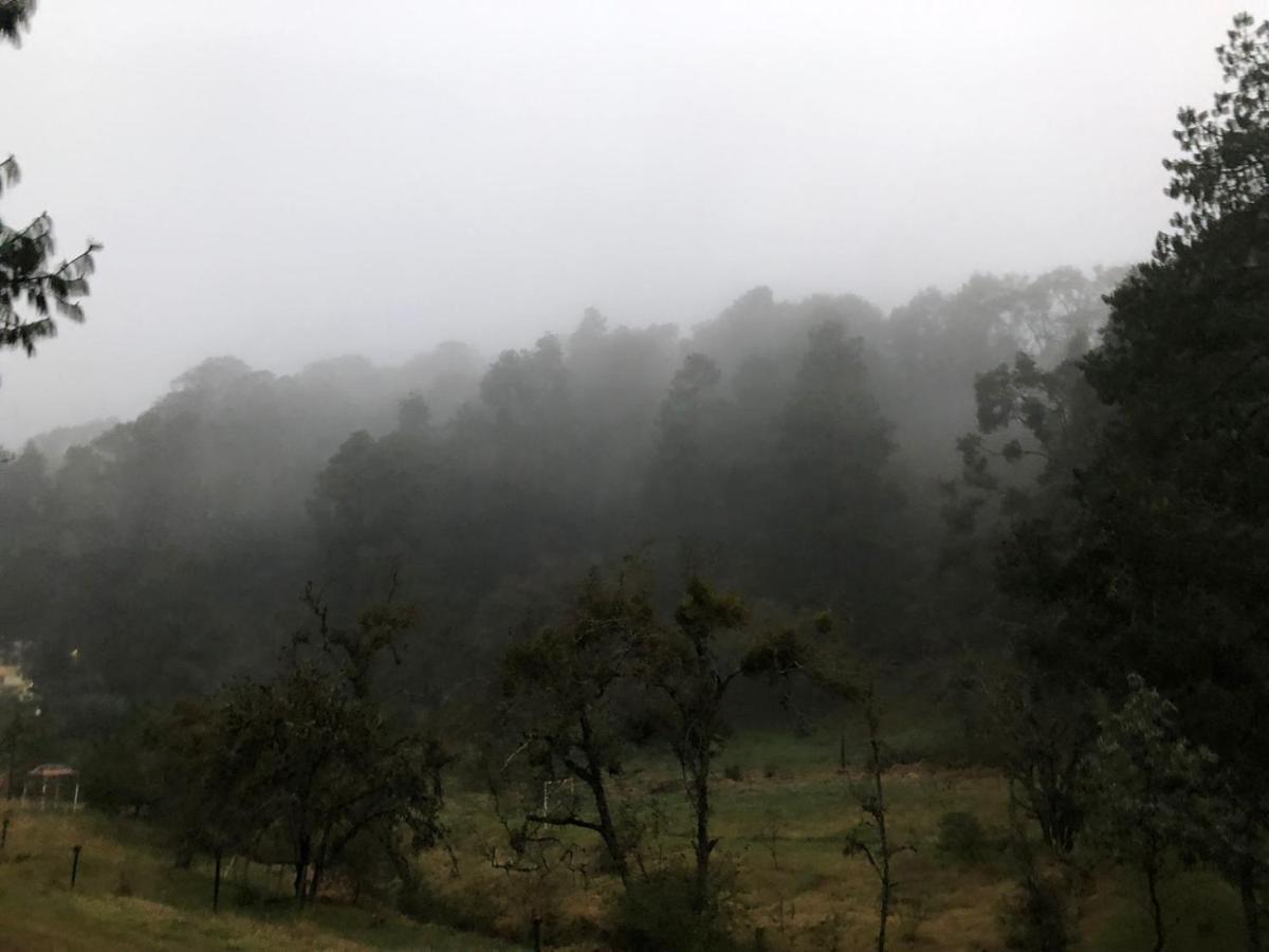 Cabana Romantica En El Bosque! Acaxochitlan Luaran gambar