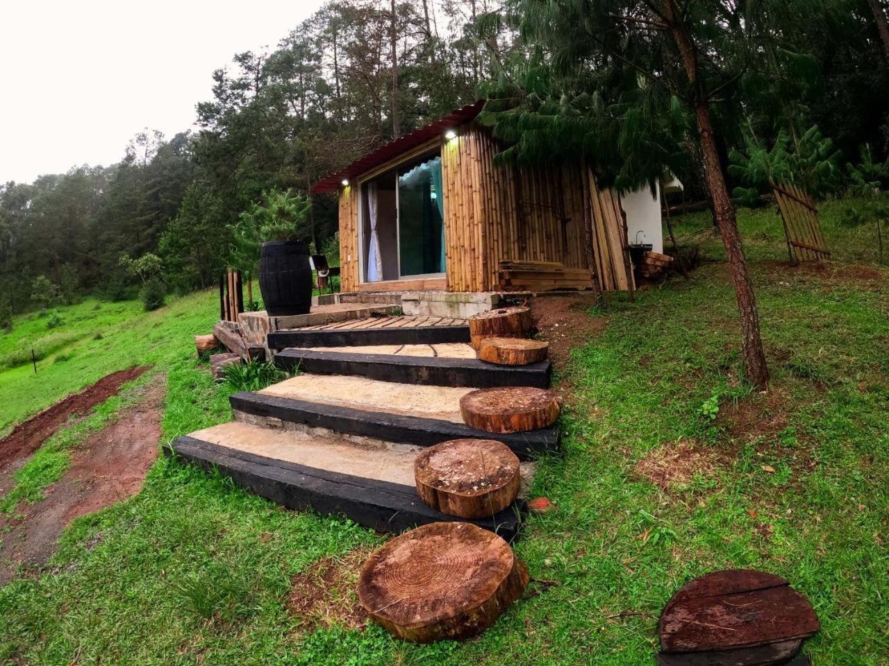Cabana Romantica En El Bosque! Acaxochitlan Luaran gambar
